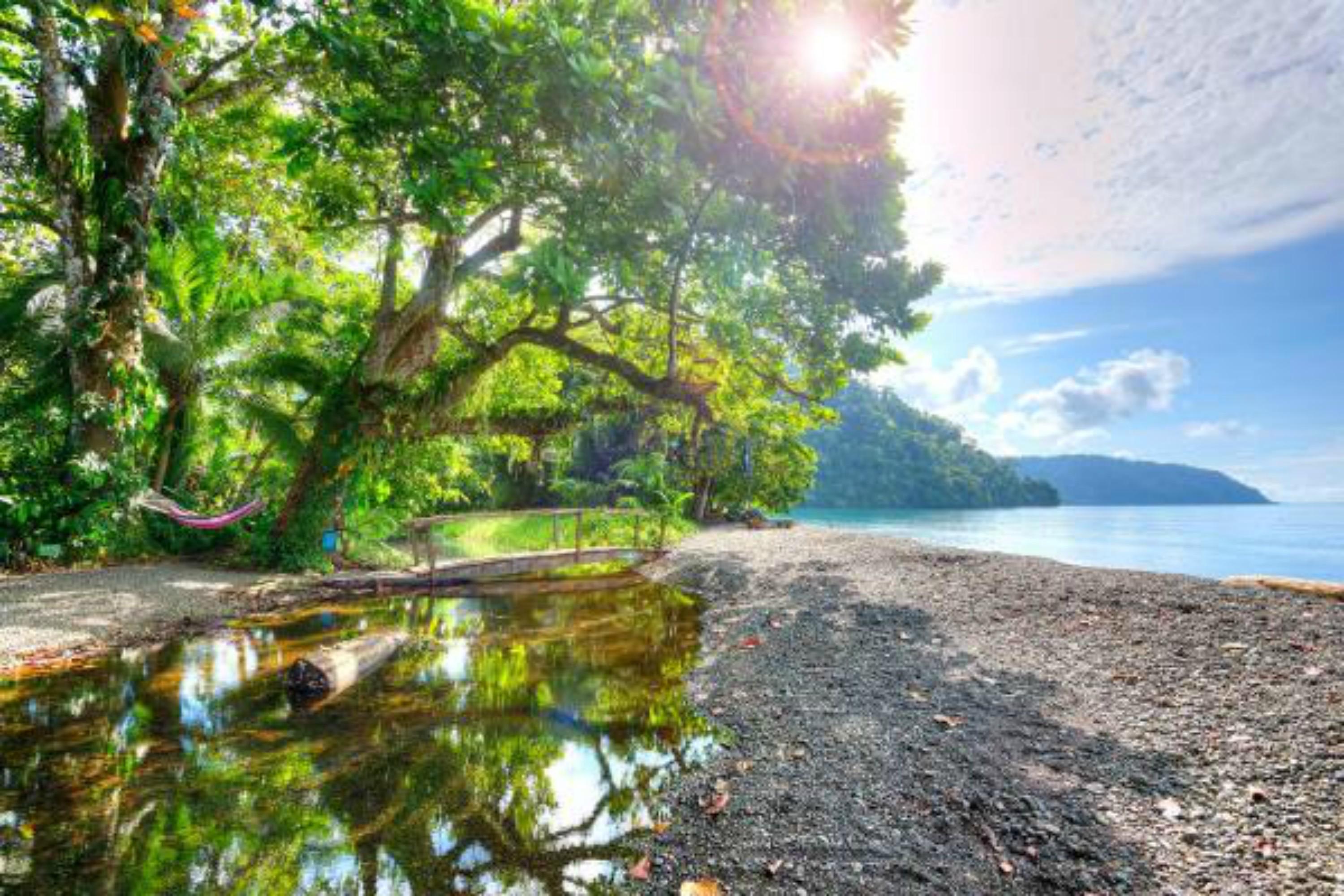 Playa Nicuesa Rainforest Eco Sanctuary Golfito Extérieur photo