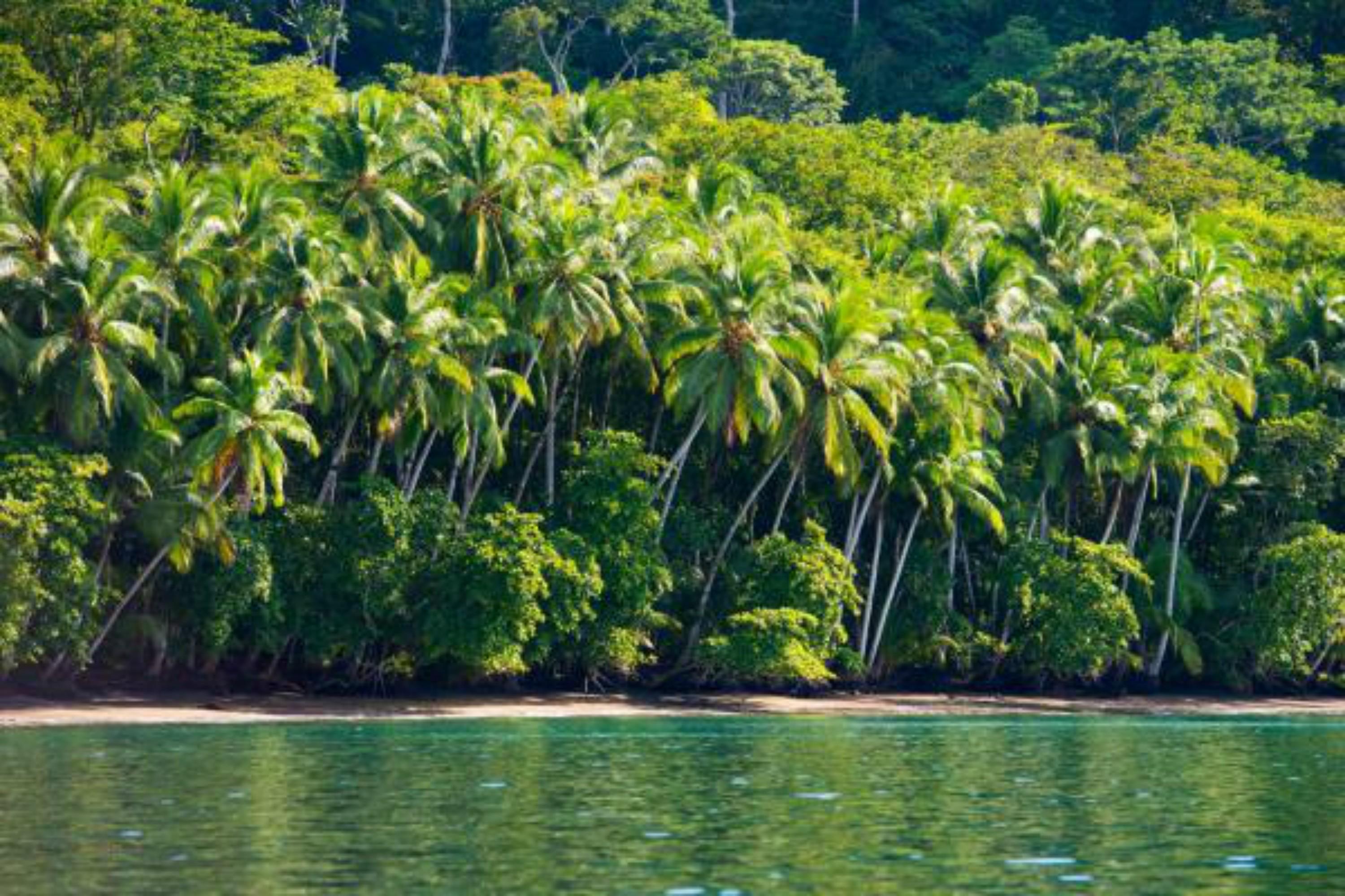 Playa Nicuesa Rainforest Eco Sanctuary Golfito Extérieur photo
