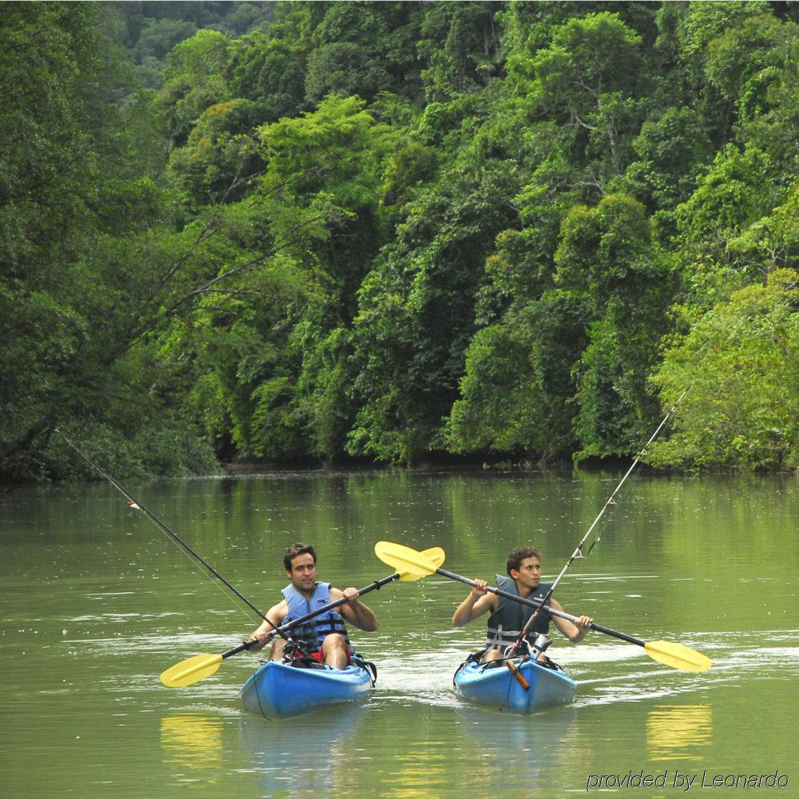 Playa Nicuesa Rainforest Eco Sanctuary Golfito Extérieur photo