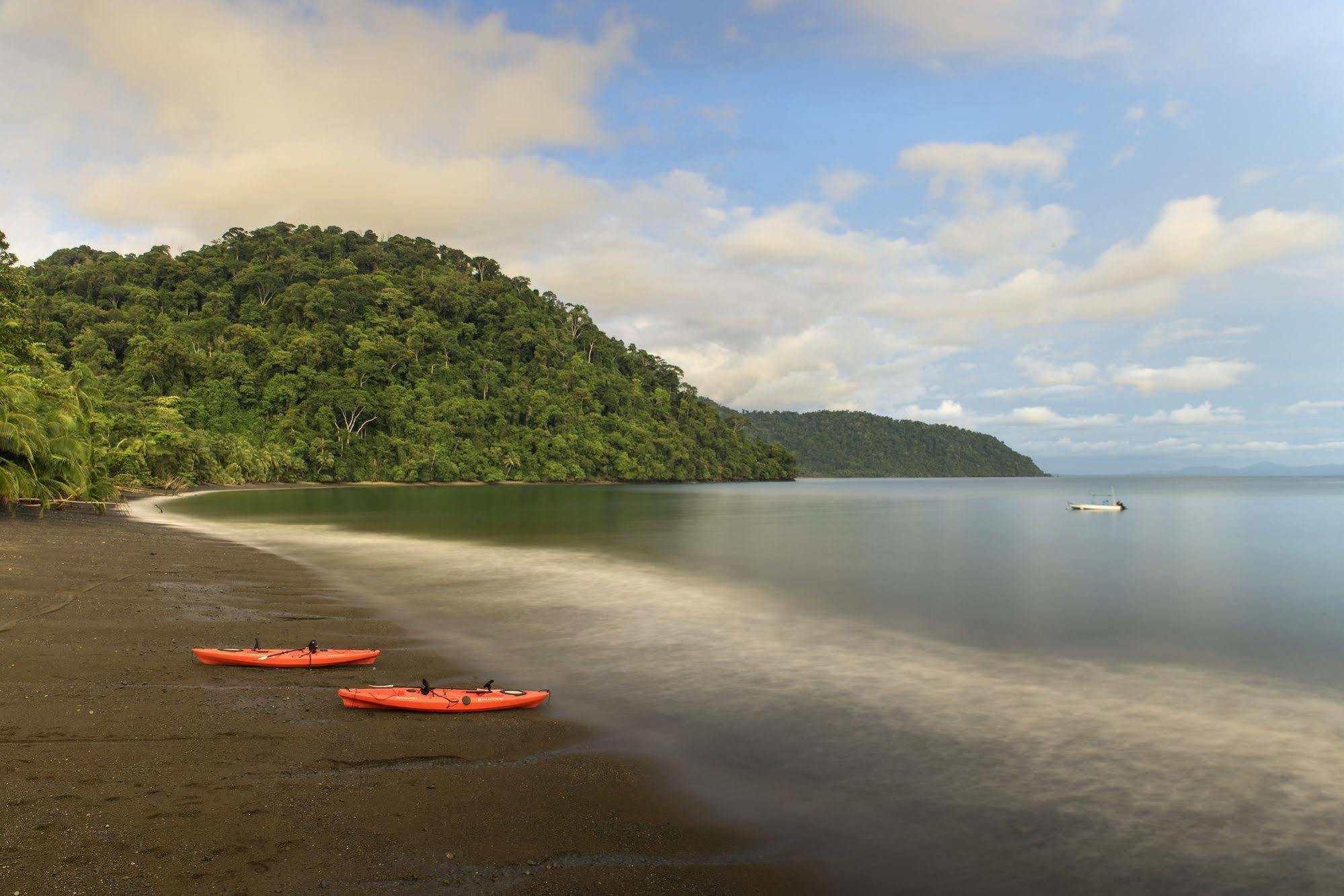Playa Nicuesa Rainforest Eco Sanctuary Golfito Extérieur photo