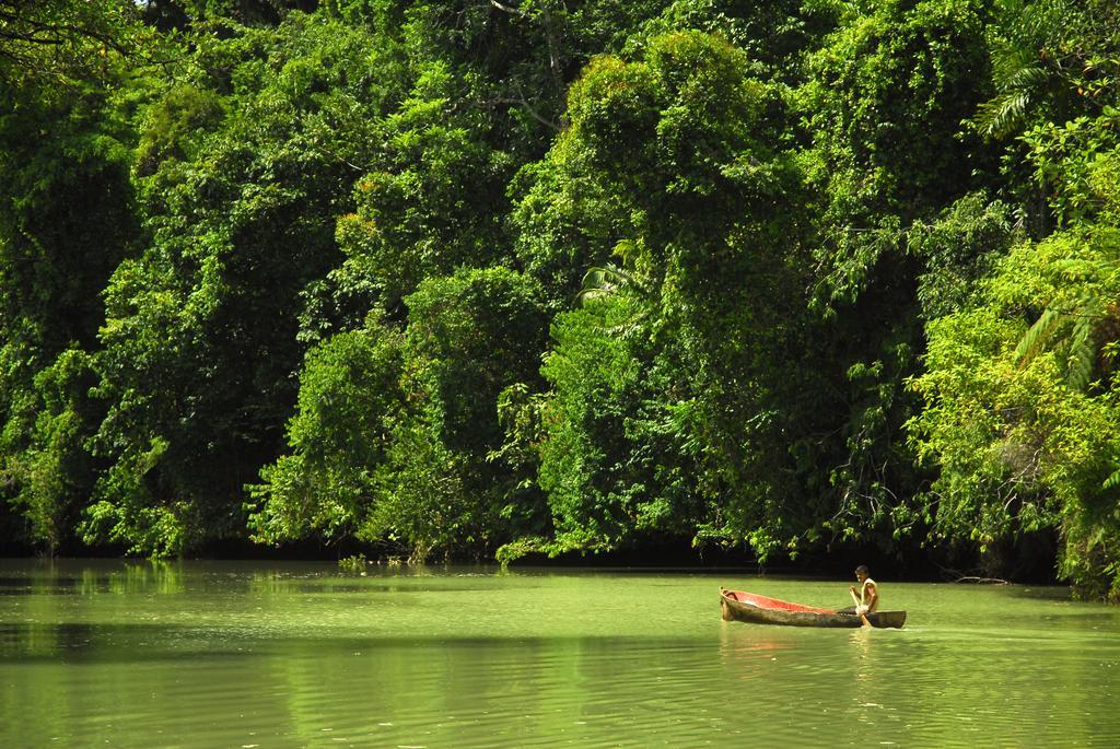 Playa Nicuesa Rainforest Eco Sanctuary Golfito Extérieur photo